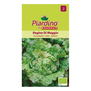 GRÖNSAKSFRÖ PIARDINO HUVUDSALLAT REGINA DI MAG  