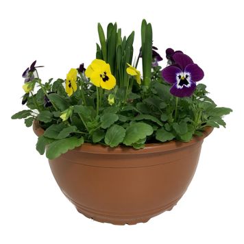 VÅRARRANGEMANG 23CM