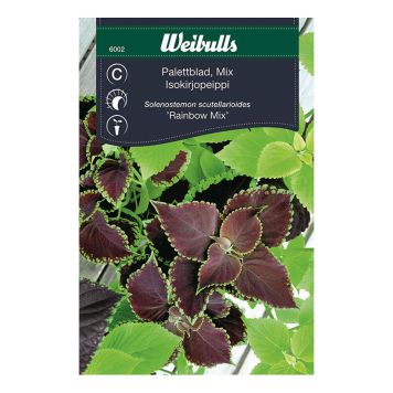 BLOMFRÖ WEIBULLS PALETTBLAD RAINBOW MIX