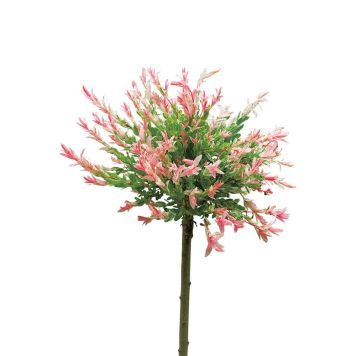 PRYDNADSTRÄD EUKALYPTUSVIDE ROSA/GRÖN 80-100CM