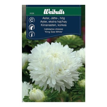 BLOMFRÖ WEIBULLS ASTER STORBLOM VIT