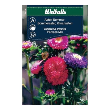 BLOMFRÖ WEIBULLS ASTER POMPON SOMMAR