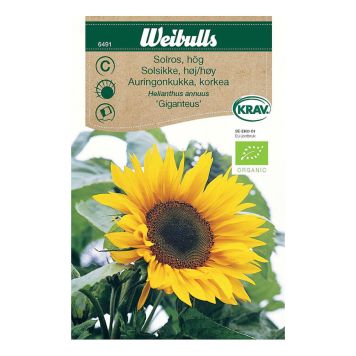 BLOMFRÖ WEIBULLS SOLROS GIGANTEUS KRAV