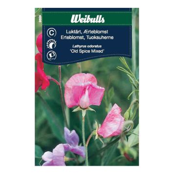 BLOMFRÖ WEIBULLS LUKTÄRT OLD SPICE MIX