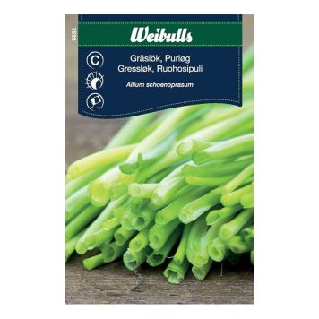 GRÖNSAKSFRÖ WEIBULLS GRÄSLÖK VANLIG FINBLADIG