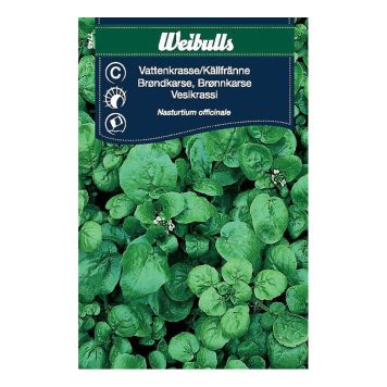 GRÖNSAKSFRÖ WEIBULLS VATTENKRASSE/ KÄLLFRÄNNE