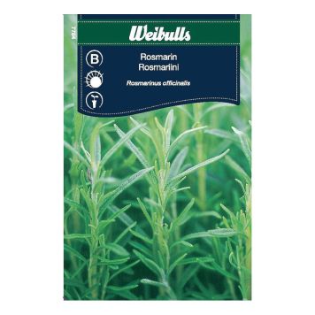 GRÖNSAKSFRÖ WEIBULLS ROSMARIN