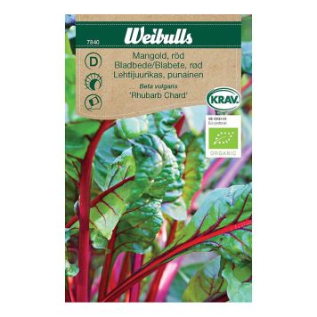 GRÖNSAKSFRÖ WEIBULLS MANGOLD RÖD RHUBARB CHARD KRAV