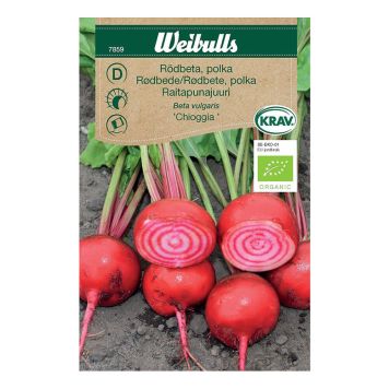 GRÖNSAKSFRÖ WEIBULLS POLKABETA CHIOGGIA KRAV