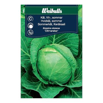 GRÖNSAKSFRÖ WEIBULLS VITKÅL HUVUD SOMMAR