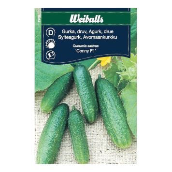 GRÖNSAKSFRÖ WEIBULLS GURKA CONNY F1