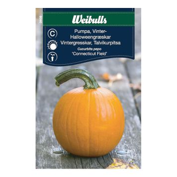GRÖNSAKSFRÖ WEIBULLS VINTERPUMPA CONNECTICUT FIELD