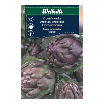 GRÖNSAKSFRÖ WEIBULLS KRONÄRTSKOCKA VIOLETT