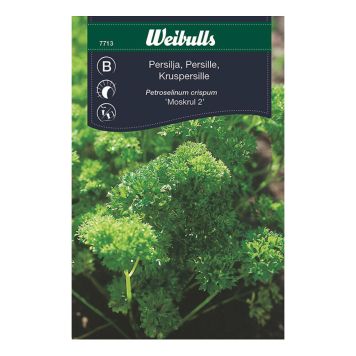 GRÖNSAKSFRÖ WEIBULLS PERSILJA KRUS