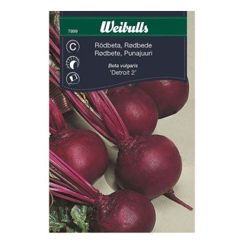 GRÖNSAKSFRÖ WEIBULLS RUND RÖDBETA