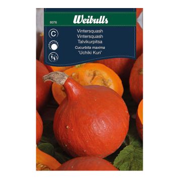 GRÖNSAKSFRÖ WEIBULLS PUMPA UCHIKI KURI HOKKAIDO