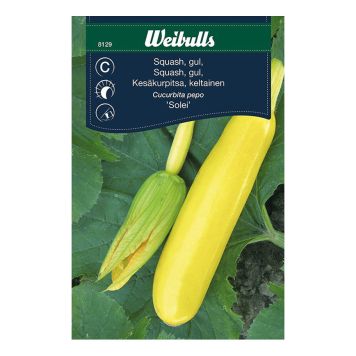GRÖNSAKSFRÖ WEIBULLS SQUASH SOLEI