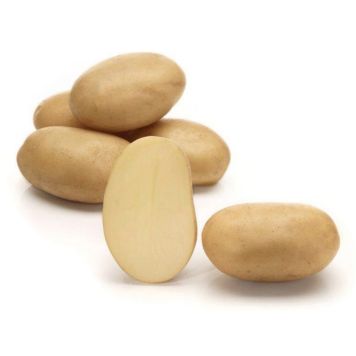 SÄTTPOTATIS 7 FOUR 7 3KG   