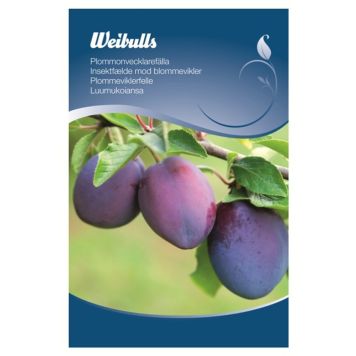 FEROMONFÄLLA WEIBULLS PLOMMONVECKLARE