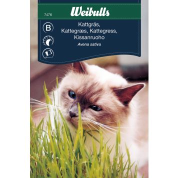 GRÄS WEIBULLS KATT HAVRE                             