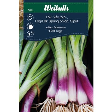 LÖK WEIBULLS VÅR-/PIP- RED TOGA                                
