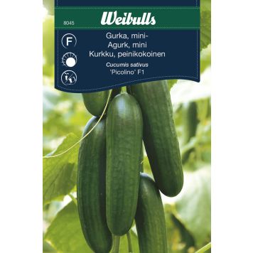 GURKA WEIBULLS SNACK PICOLINO                                