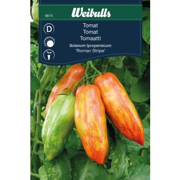 TOMAT WEIBULLS ROMAN STRIPE                            