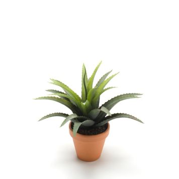 KONSTVÄXT AGAVE I KRUKA 11CM