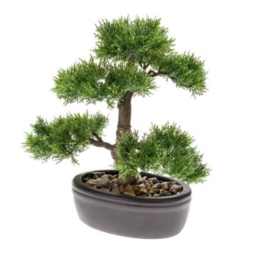 KONSTVÄXT CEDER BONSAI 32CM