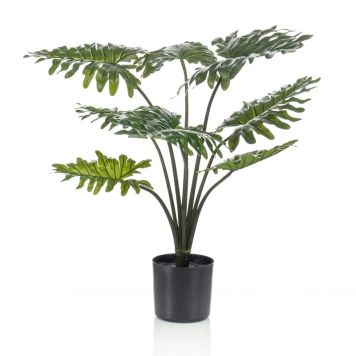 FILODENDRON 80CM PLASTKRUKA, GRÖN