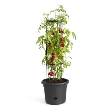 TOMATKRUKA ELHO GREEN BASICS TOMATO POT Ø33CM