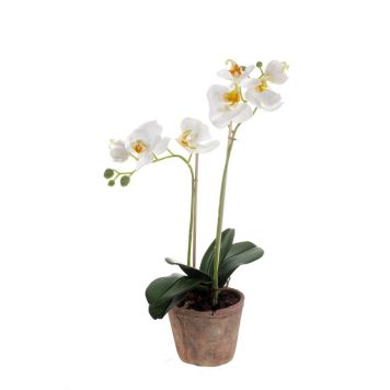KONSTVÄXT ORKIDÉ PHALAENOPSIS I KRUKA VIT 56CM