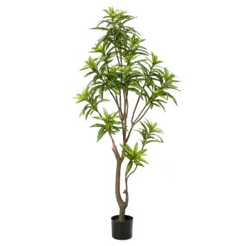 KONSTVÄXT EMERALD DRACAENA TRÄD 155CM