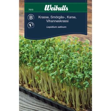 GRÖNSAKSFRÖ WEIBULLS SMÖRGÅSKRASSE