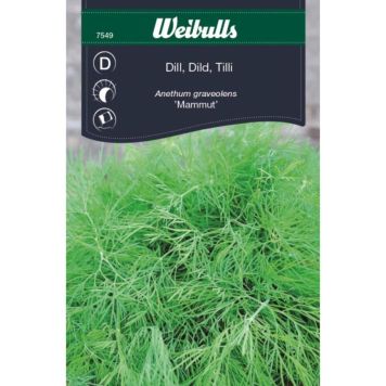 GRÖNSAKSFRÖ WEIBULLS DILL MAMMUT
