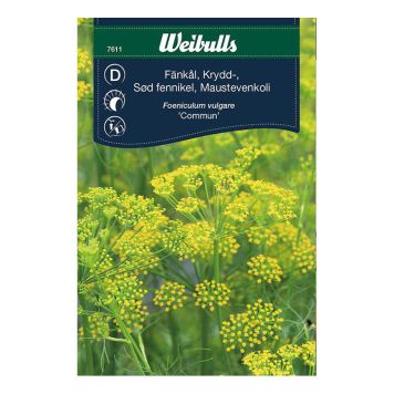 KRYDDFRÖ WEIBULLS FÄNKÅL COMMUN