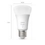 STARTPAKET PHILIPS HUE A6 E27 9,5W