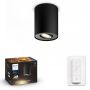 TAKSPOTLIGHT PHILIPS HUE PILLAR SINGEL SVART