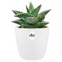 PLASTKRUKA ELHO BRUSSELS ROUND Ø12,5CM VIT