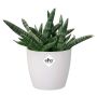 PLASTKRUKA ELHO BRUSSELS ROUND Ø12,5CM VIT