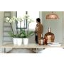 PLASTKRUKA ELHO BRUSSELS DIAMOND ORCHID HIGH Ø12,5CM VIT 