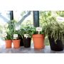 PLANTERINGSKRUKA ELHO GREEN BASICS GROWPOT 30CM GRÖN