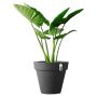 UTOMHUSKRUKA ELHO PURE ROUND 78L Ø59CM ANTRACIT