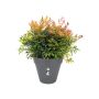 UTOMHUSKRUKA ELHO LOFT URBAN ROUND 5,5L Ø25CM ANTRACIT