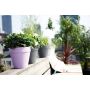 UTOMHUSKRUKA ELHO LOFT URBAN ROUND 5,5L Ø25CM ANTRACIT
