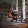 PELLETSGRILL TRAEGER PRO22                              
