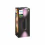 VÄGGLAMPA PHILIPS HUE APPEAR WACA