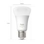 LJUSKÄLLA PHILIPS HUE WCA E27 9W