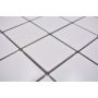 MOSAIK WELSCHEIT ARITEKTUR WHITE GLOSSY 29,8X29,8CM PRIS PER ARK
