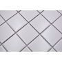 MOSAIK WELSCHEIT ARITEKTUR WHITE GLOSSY 29,8X29,8CM PRIS PER ARK